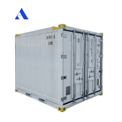 10 πόδια DNV 2.7-1 Τυποποιημένο κοντέινερ κατάψυξη Παγωμένο υπεράκτιο ψυγείο Reefer με πιστοποιητικό CSC και γωνία γροθιάς γροθιάς Max 45 βαθμούς