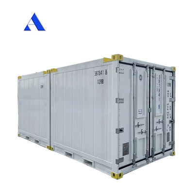 10 πόδια DNV 2.7-1 Τυποποιημένο κοντέινερ κατάψυξη Παγωμένο υπεράκτιο ψυγείο Reefer με πιστοποιητικό CSC και γωνία γροθιάς γροθιάς Max 45 βαθμούς