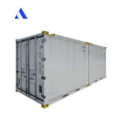 10 πόδια DNV 2.7-1 Τυποποιημένο κοντέινερ κατάψυξη Παγωμένο υπεράκτιο ψυγείο Reefer με πιστοποιητικό CSC και γωνία γροθιάς γροθιάς Max 45 βαθμούς