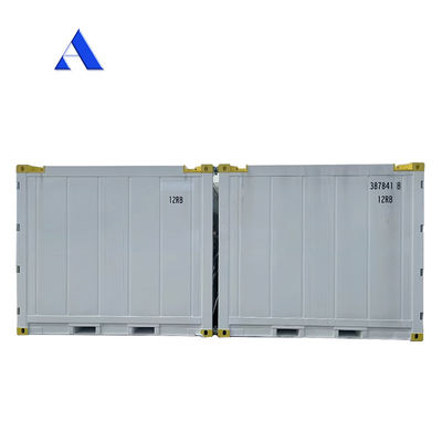 10 πόδια DNV 2.7-1 Τυποποιημένο κοντέινερ κατάψυξη Παγωμένο υπεράκτιο ψυγείο Reefer με πιστοποιητικό CSC και γωνία γροθιάς γροθιάς Max 45 βαθμούς
