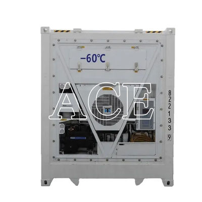 40ft Reefer βαθιά έκρηξη Feezer δοχεία Πολυουρεθάνιο μονωμένο Θερμο King ψυγείο για 60 βαθμούς Φρέσκια αποθήκευση τόνου