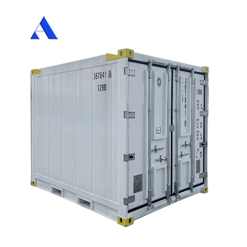 10 πόδια DNV 2.7-1 Τυποποιημένο κοντέινερ κατάψυξη Παγωμένο υπεράκτιο ψυγείο Reefer με πιστοποιητικό CSC και γωνία γροθιάς γροθιάς Max 45 βαθμούς