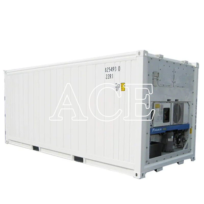 20ft Corten-A ψυγείο Reefer κοντέινερ στο Ντουμπάι ιδανικό για ψυγείο ψάρι και κρέας μεταφοράς